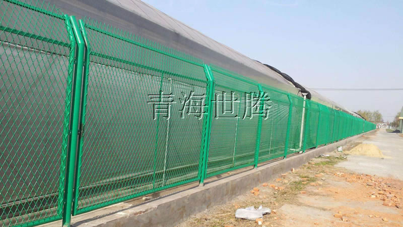 1515032923932960.jpg 77.jpg