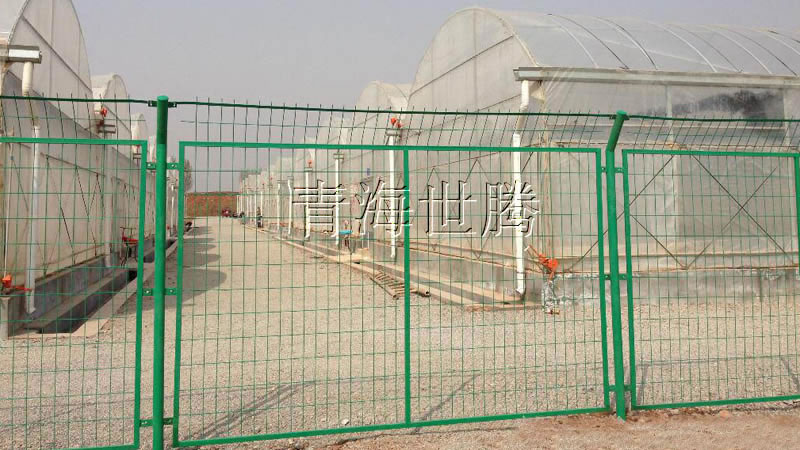 1515033109732618.jpg 100xiao.jpg