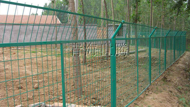 1515033158799184.jpg 101.jpg