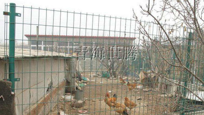 1515045145442680.jpg 44da.jpg