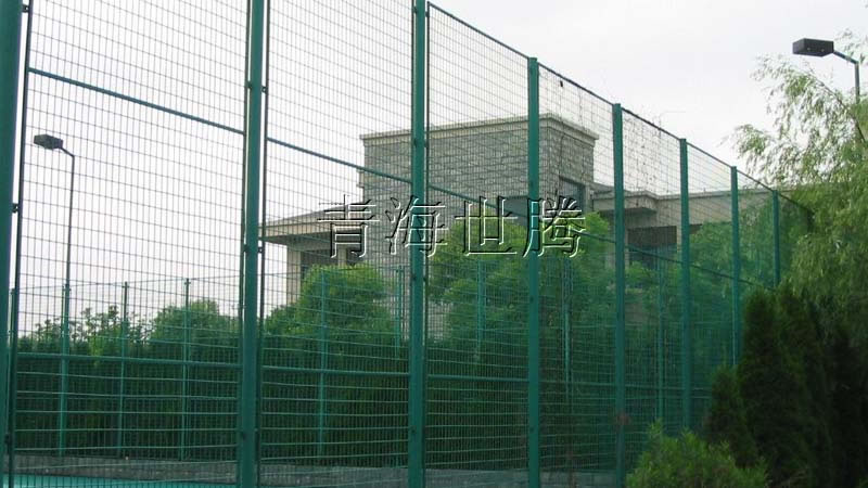 1515049510465495.jpg 11.jpg