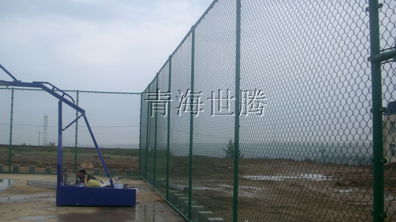 1515049982795493.jpg 100.jpg