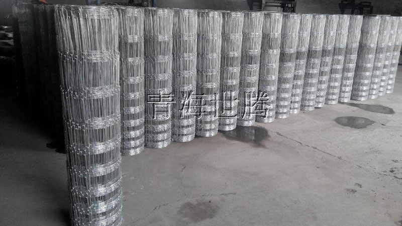 1521092788406295.jpg 草原<a href='http://www.jiawangshuidian.cn/hulanwangxilie/page_2.html'target='_blank'>護欄網</a>.jpg