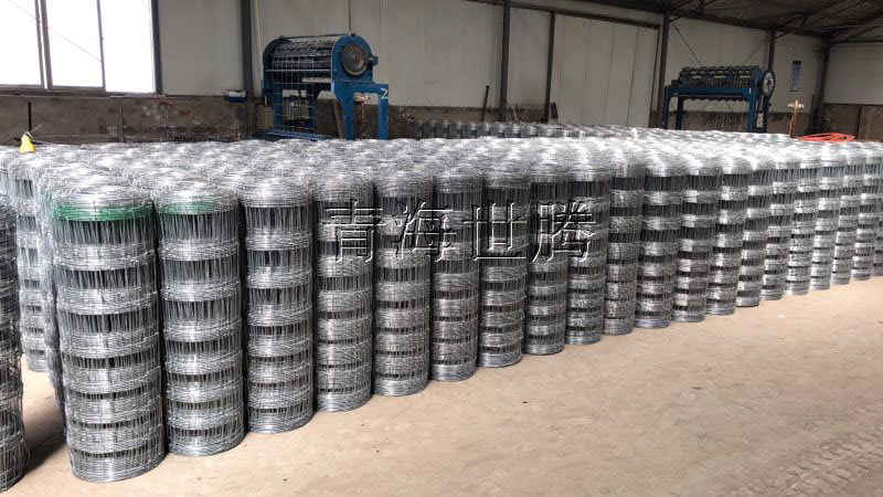 1521092851590158.jpg 草原鐵絲網.jpg