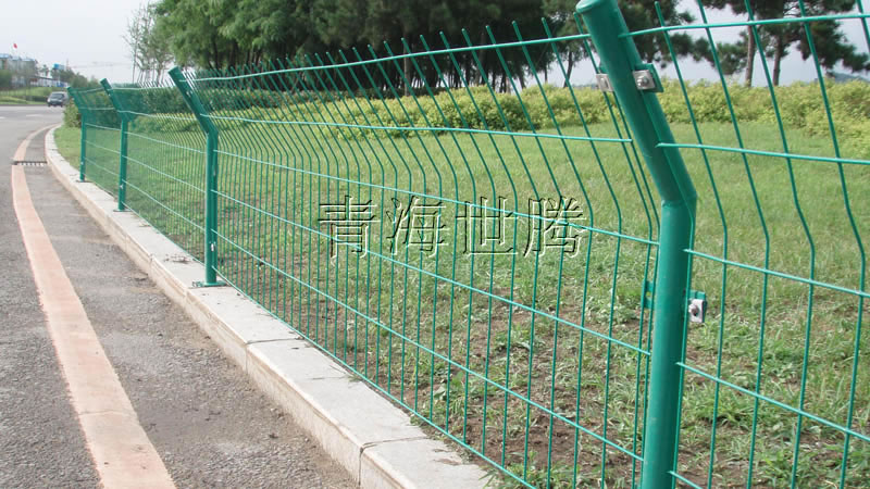 1531963216483125.jpg 1.jpg