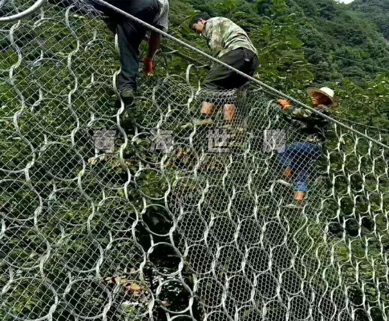 1545205339185683.jpg 3.jpg