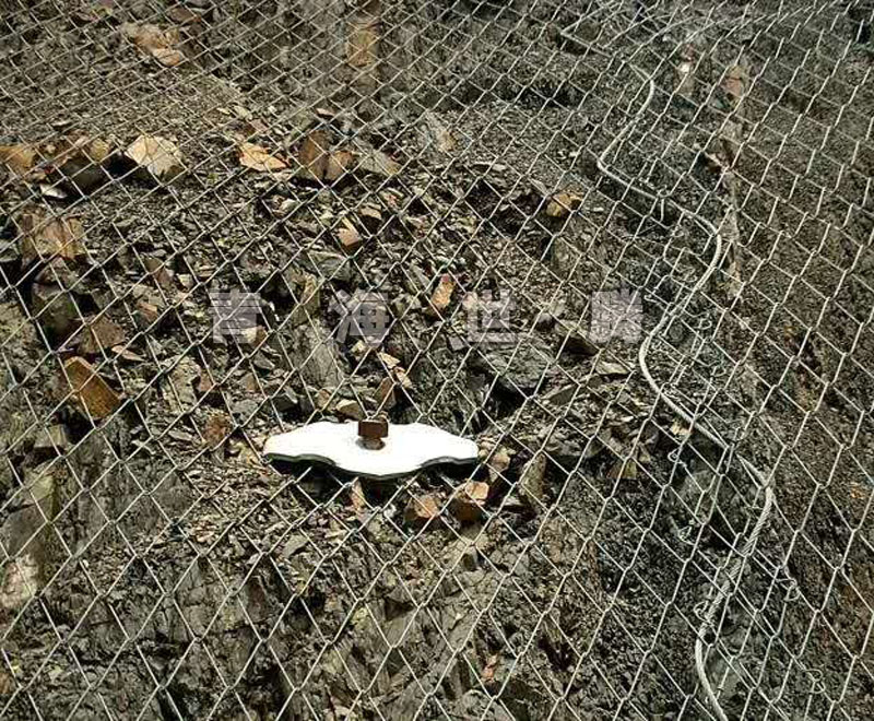 1545206435922234.jpg 6.jpg